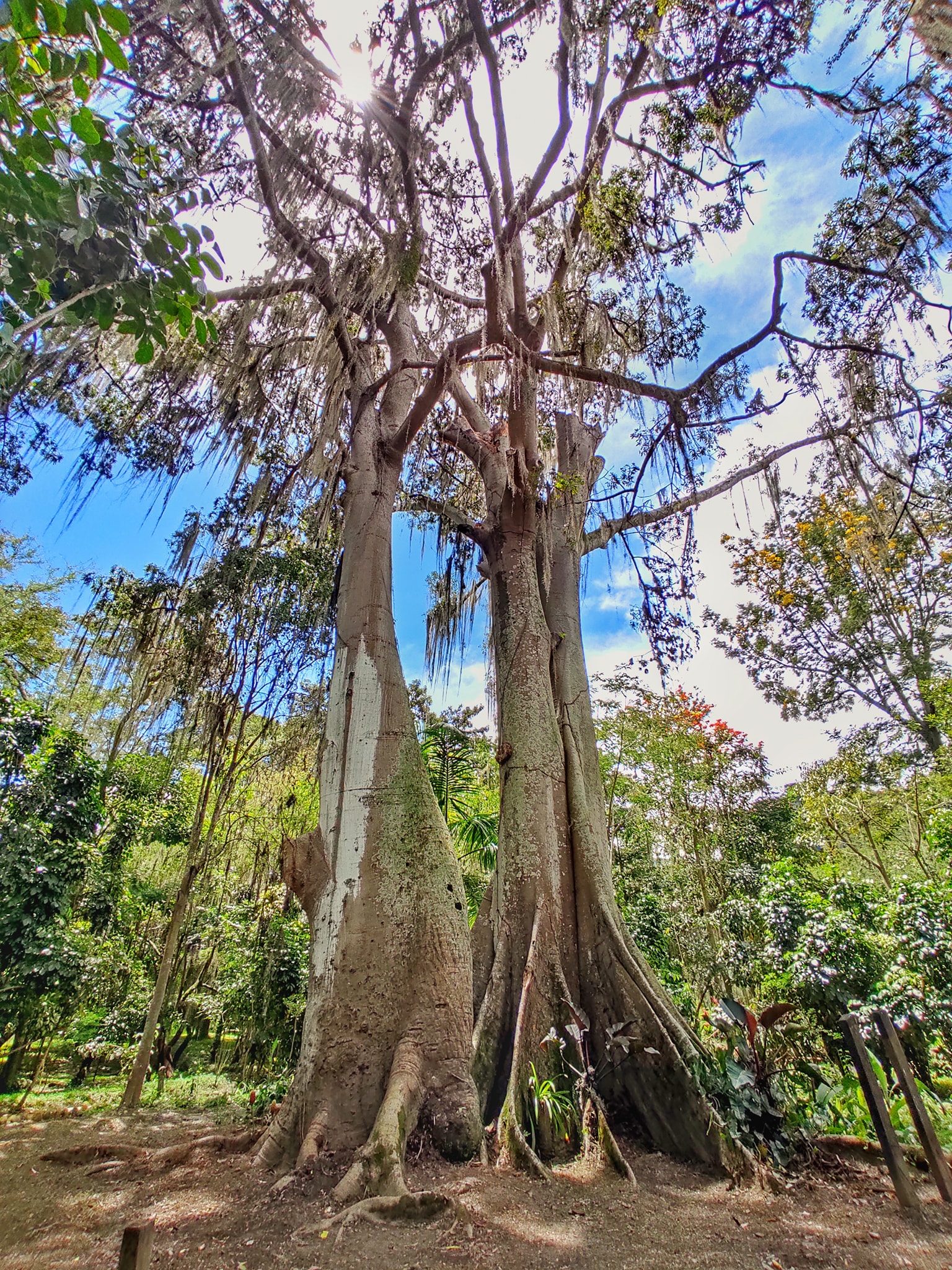parque3