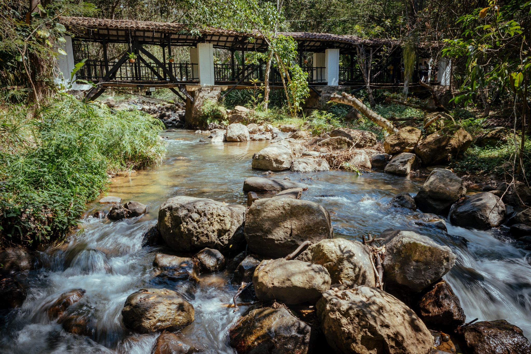 Parque Natural El Gallineral: conservación, educación y apropiación del territorio en 2026