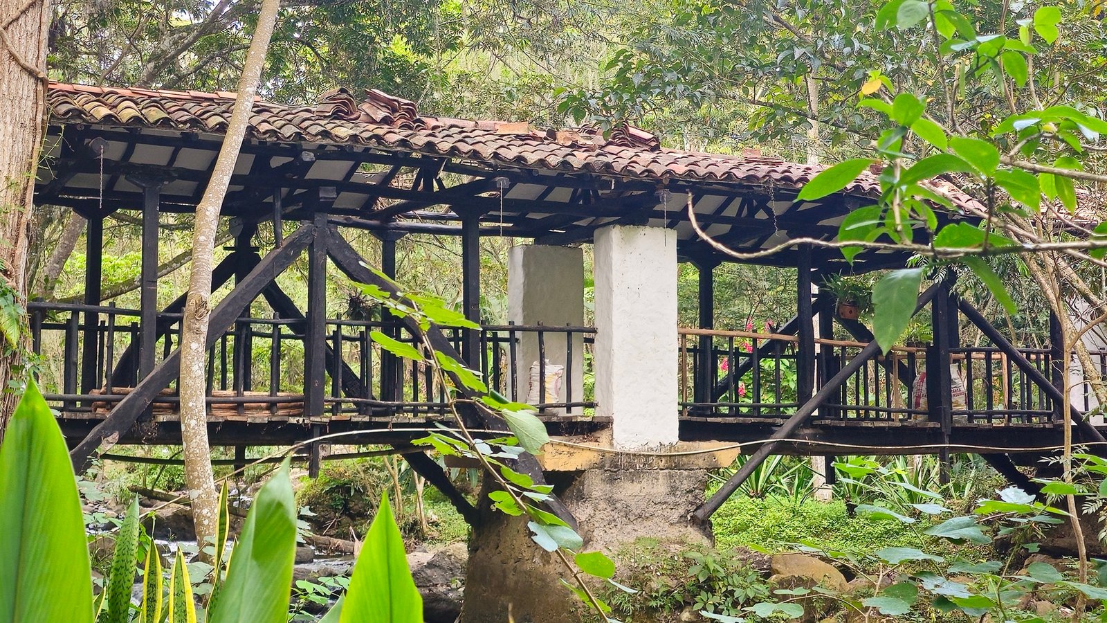Avanza el mantenimiento y restauración de los puentes peatonales del Parque Natural El Gallineral